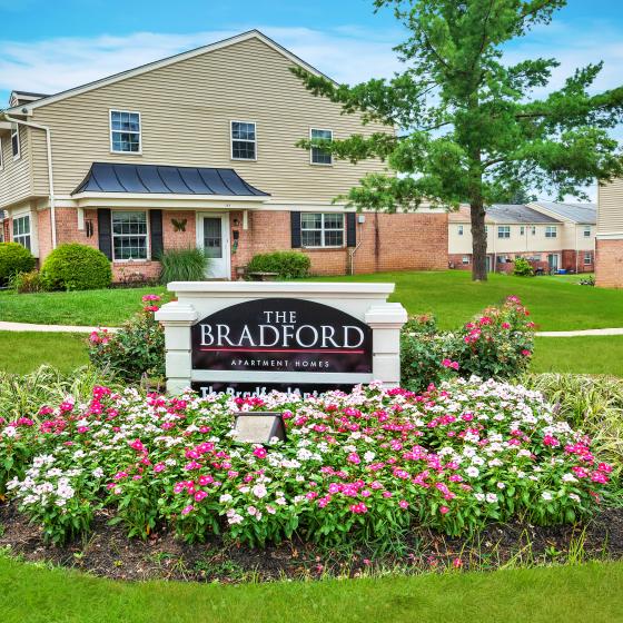 The-Bradford